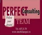 Perfect Consulting Team